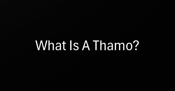 what is a thamo