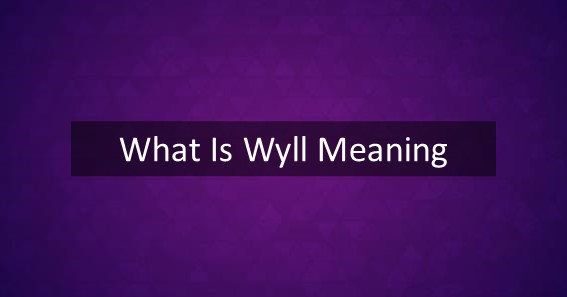 WYLL meaning