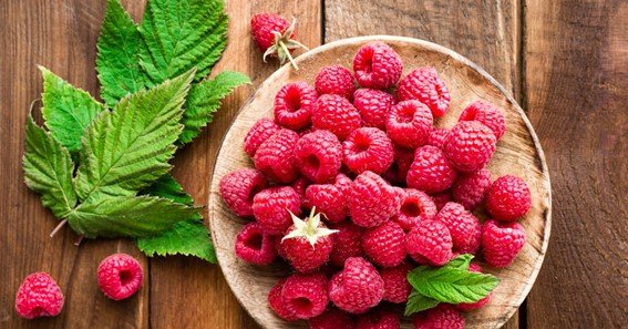 Can Dogs Safely Eat Raspberries