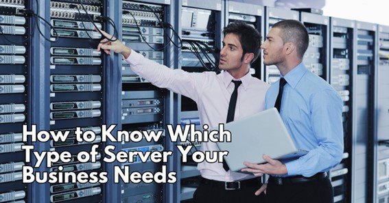 How to Know Which Type of Server Your Business Needs