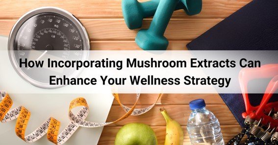 How Incorporating Mushroom Extracts Can Enhance Your Wellness Strategy