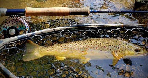 what is the best weight for backing fly fishing