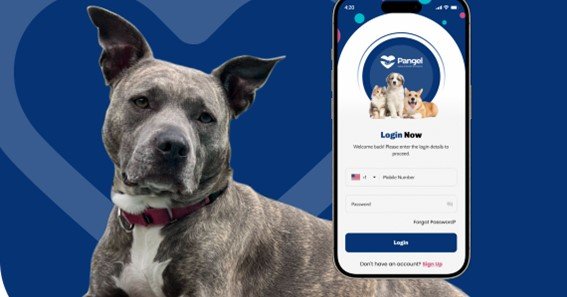 petco login