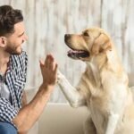 Opening Your Heart: Embracing the Rewarding Path of Dog Adoption