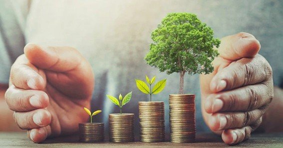 Strategies to Save Money and Achieve Sustainable Growth