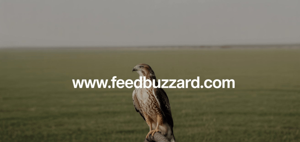 FeedBuzzard.com: Your Ultimate Hub for Trending News