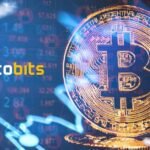 Navigating eCryptoBit.com: Your Guide to NFTs