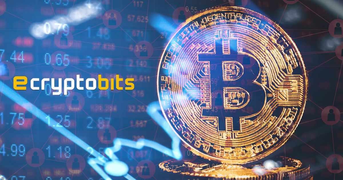 Navigating eCryptoBit.com: Your Guide to NFTs