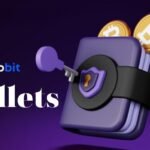 Secure and Easy Guide to eCryptobit.com Wallets